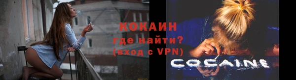дживик Абаза