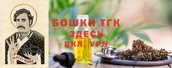 дживик Абаза