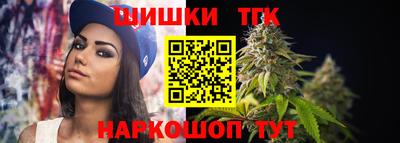 спиды Новодвинск
