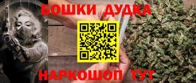 спиды Новодвинск