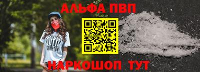 спиды Новодвинск