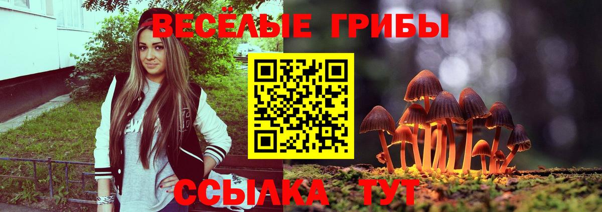 Галлюциногенные грибы Magic Shrooms  Вход с VPN  Галлюциногенные грибы мицелий  Канск 